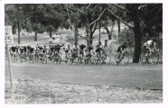 <h5>Commonwealth Games - 1962</h5><p>King's Park, WA.</p>